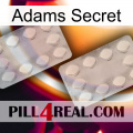 Adams Secret 17